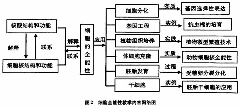 高中生物学教学中的整体性备课策略